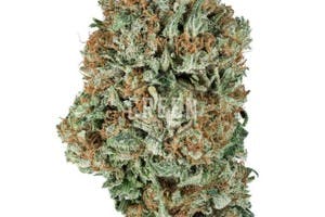 Grannys Cookies | 1g