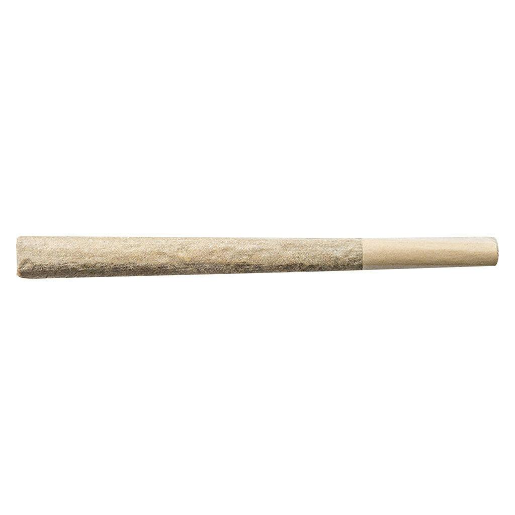 Midnight Cake | Minis | 0.5g | 5pk