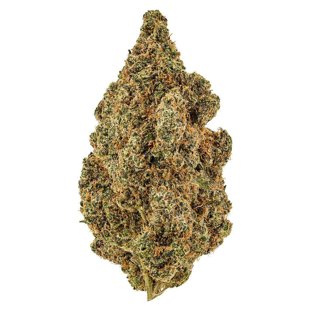 Oranjipop | Big Buds | 7g