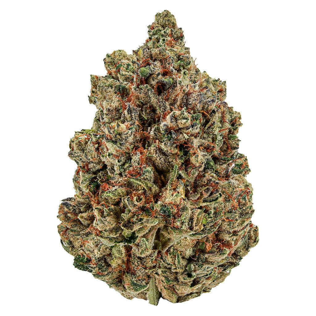 Sugar Daddy | 7g