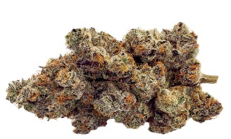 Gelato 33 | 3.5g