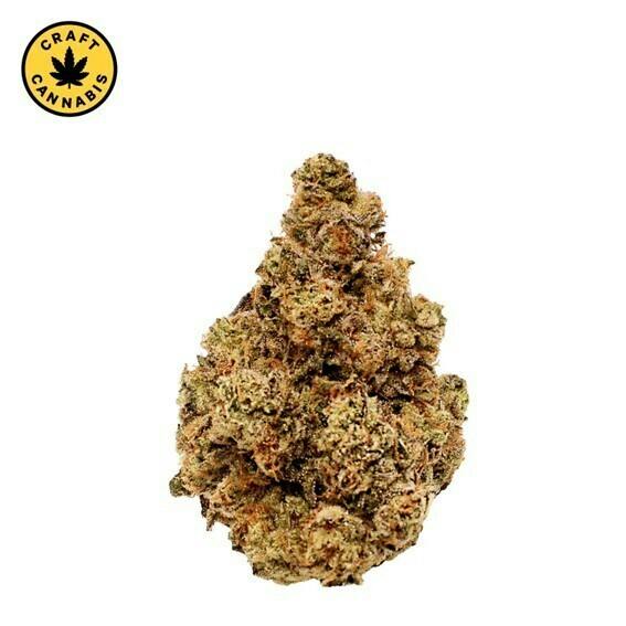 Gloc | Big Buds | 14g