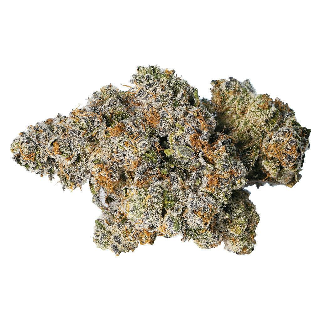 Gelato 33 | Big Buds | 14g