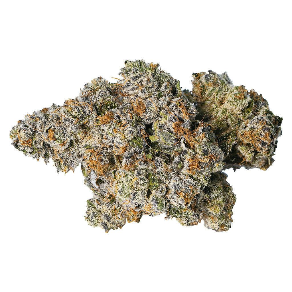 Gelato 33 | Infused Flower | 14g