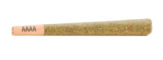 Gelato 33 | Joints | 1g | 2pk
