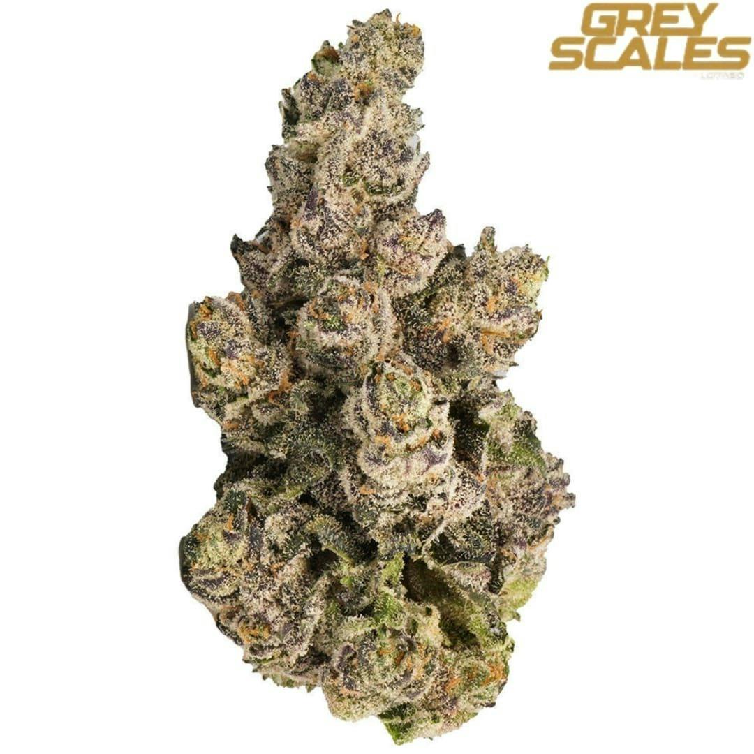 Lucky Sevens | 7g