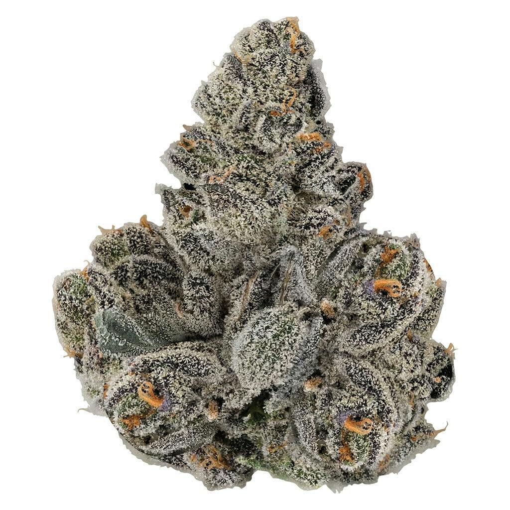 Gastro Pop | Big Buds | 3.5g