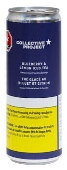 Blueberry Lemon | Carbonated | 355ml