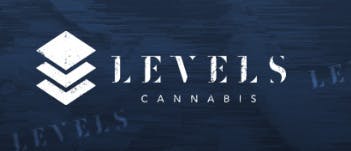 Levels Gray Beanie | Apparel
