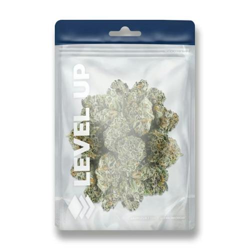 Hindu Kush | 28g