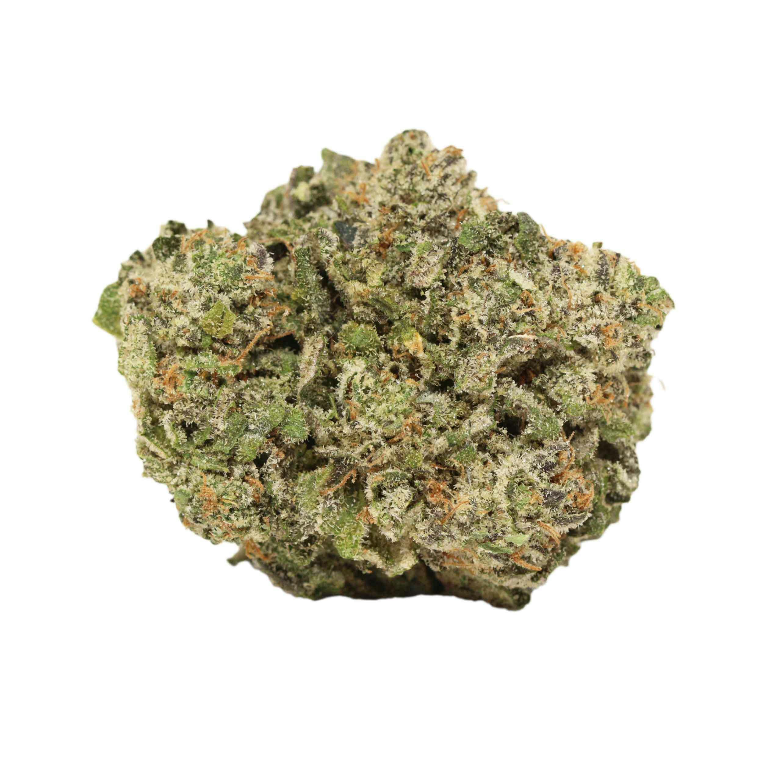 Donut | 1g