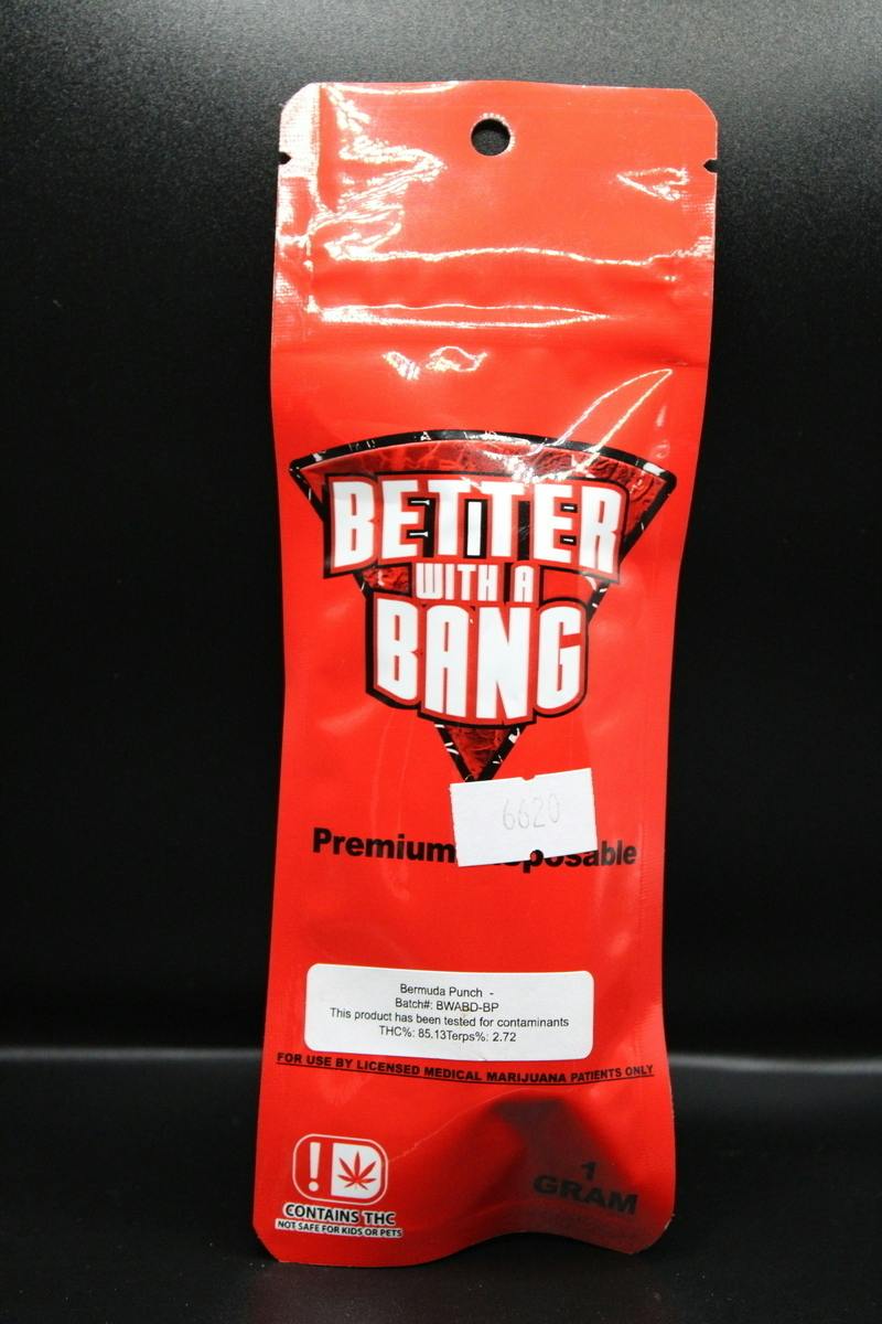 Bermuda Punch | Disposable | 1g