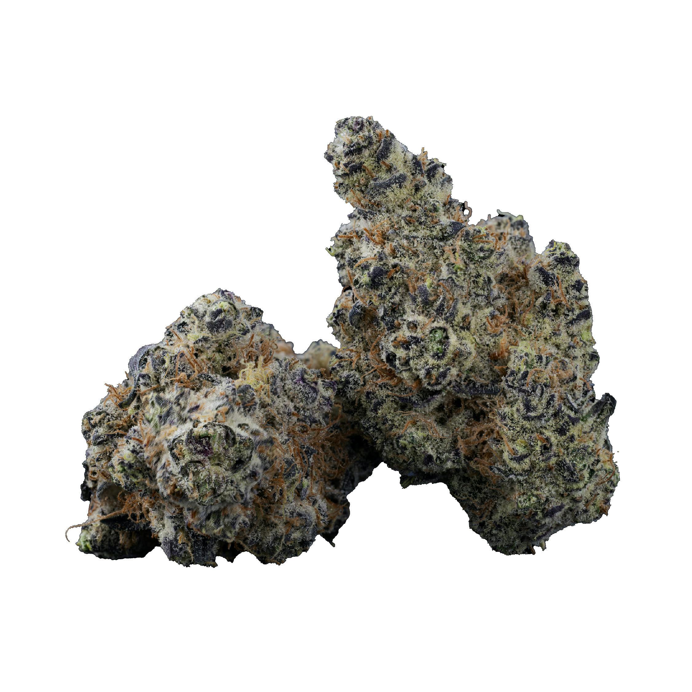 Governmint Oasis | Smalls | 1g