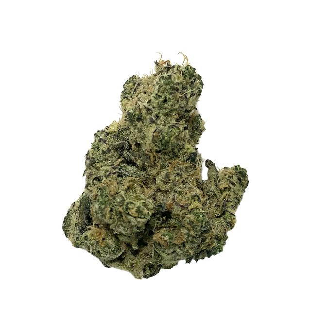 Govern Mintz Oasis | Big Buds | 3.5g