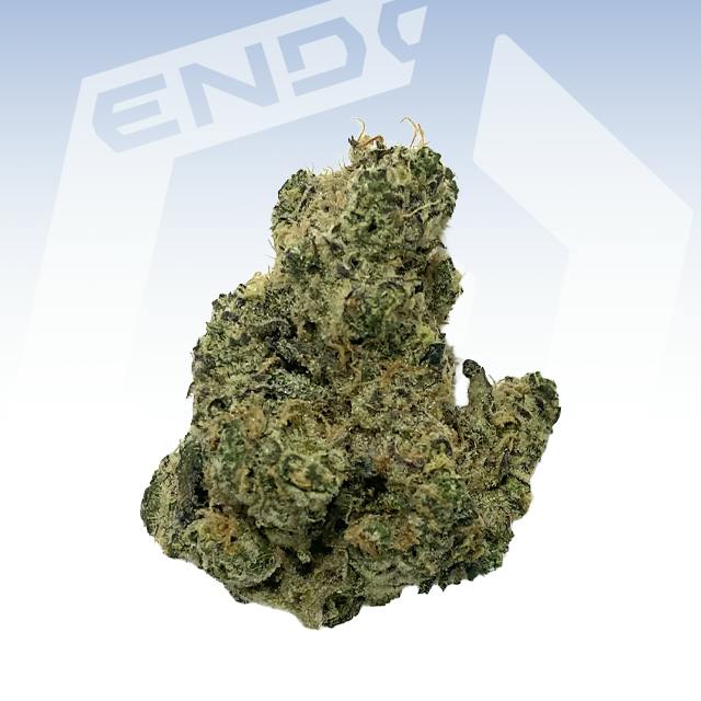 Govern Mint Oasis | Big Buds | 1g