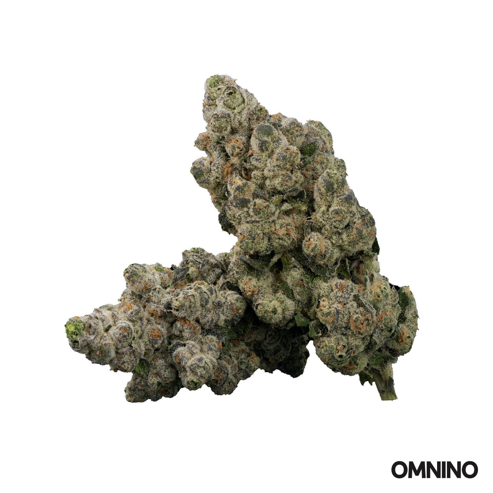 Lilac Diesel #1 | Smalls | 1g