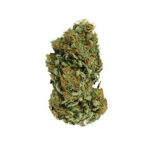 San Fernando Valley | 1g
