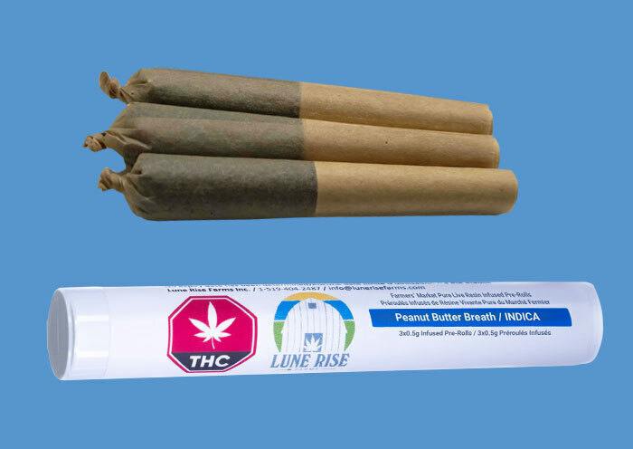 Peanut Butter Breath | Infused Joints | 0.5g | 3pk