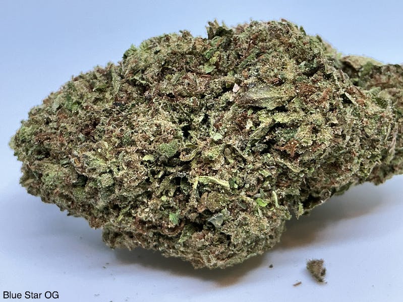 Blue Star | Big Buds | 1g