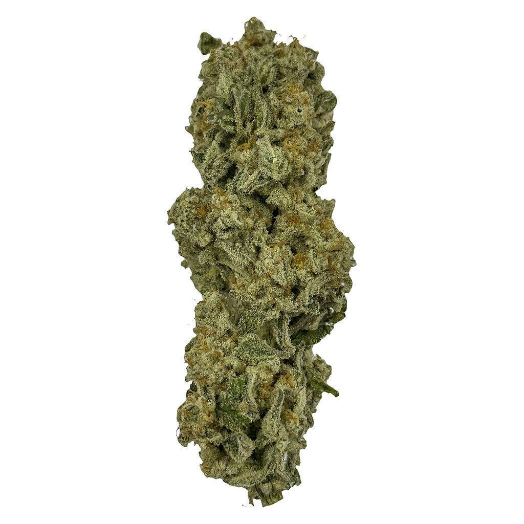 Mach 1 | 7g