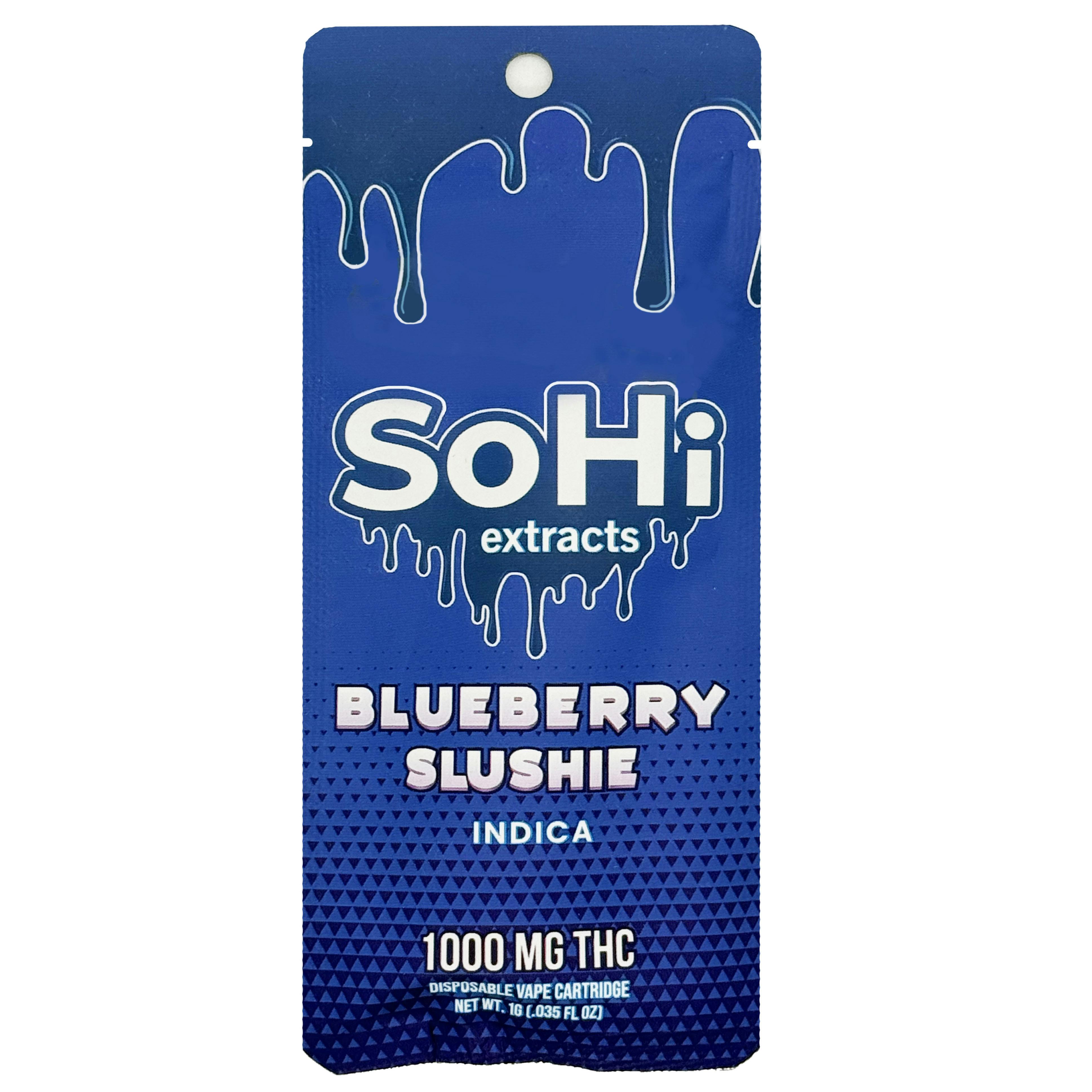 Blueberry Slushie | Disposable | 1g