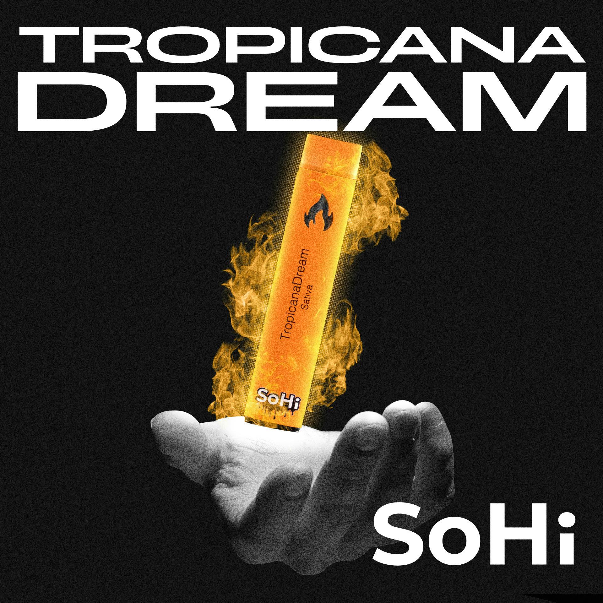 Tropicana Dream | Disposable | 1g