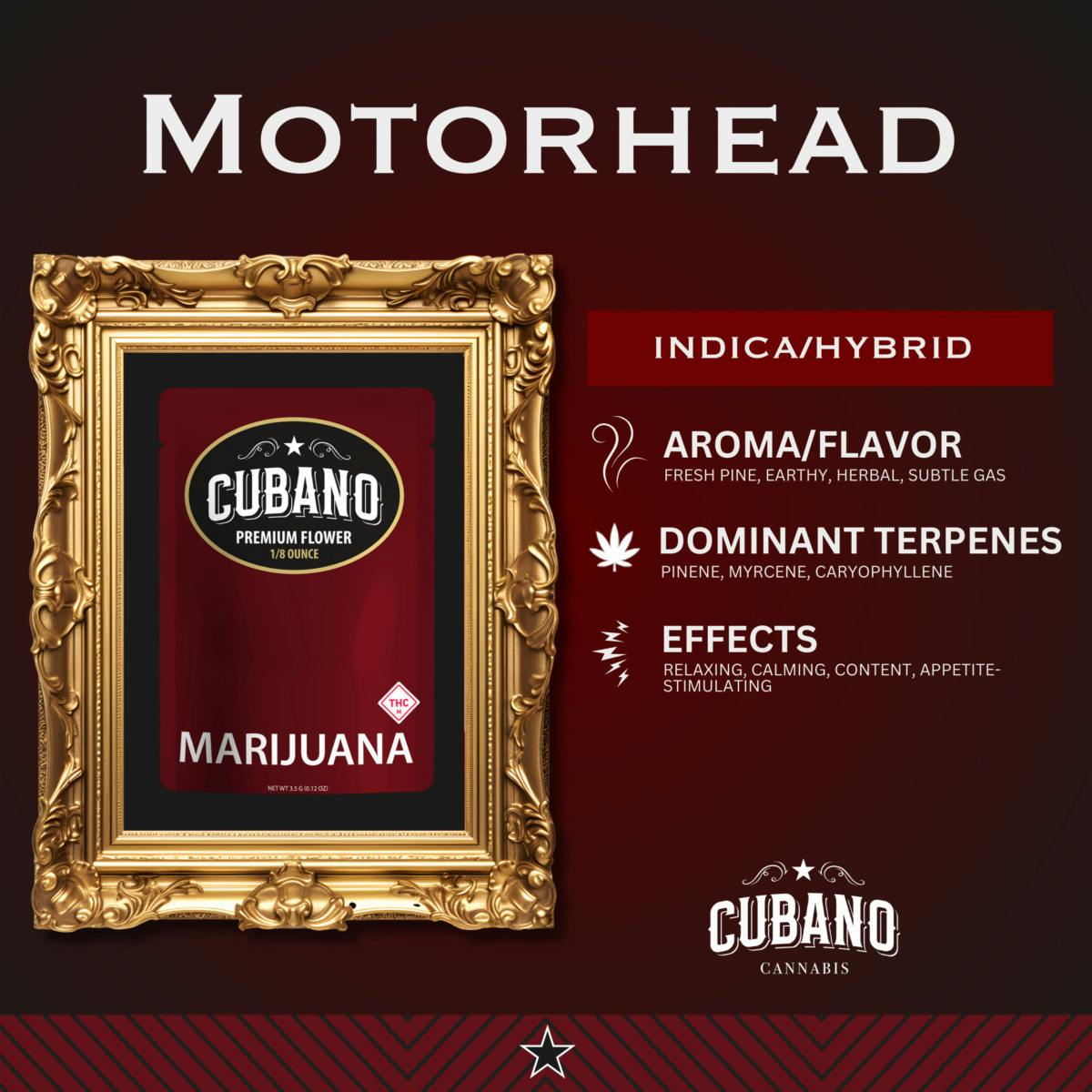 Motor Head | 3.5g at From The Earth Dispensary Brookside