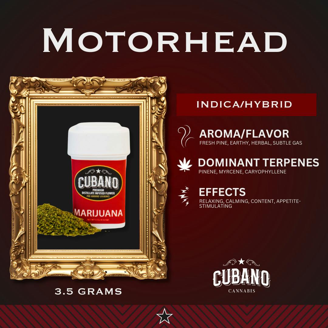 Motor Head | Infused Flower | 3.5g