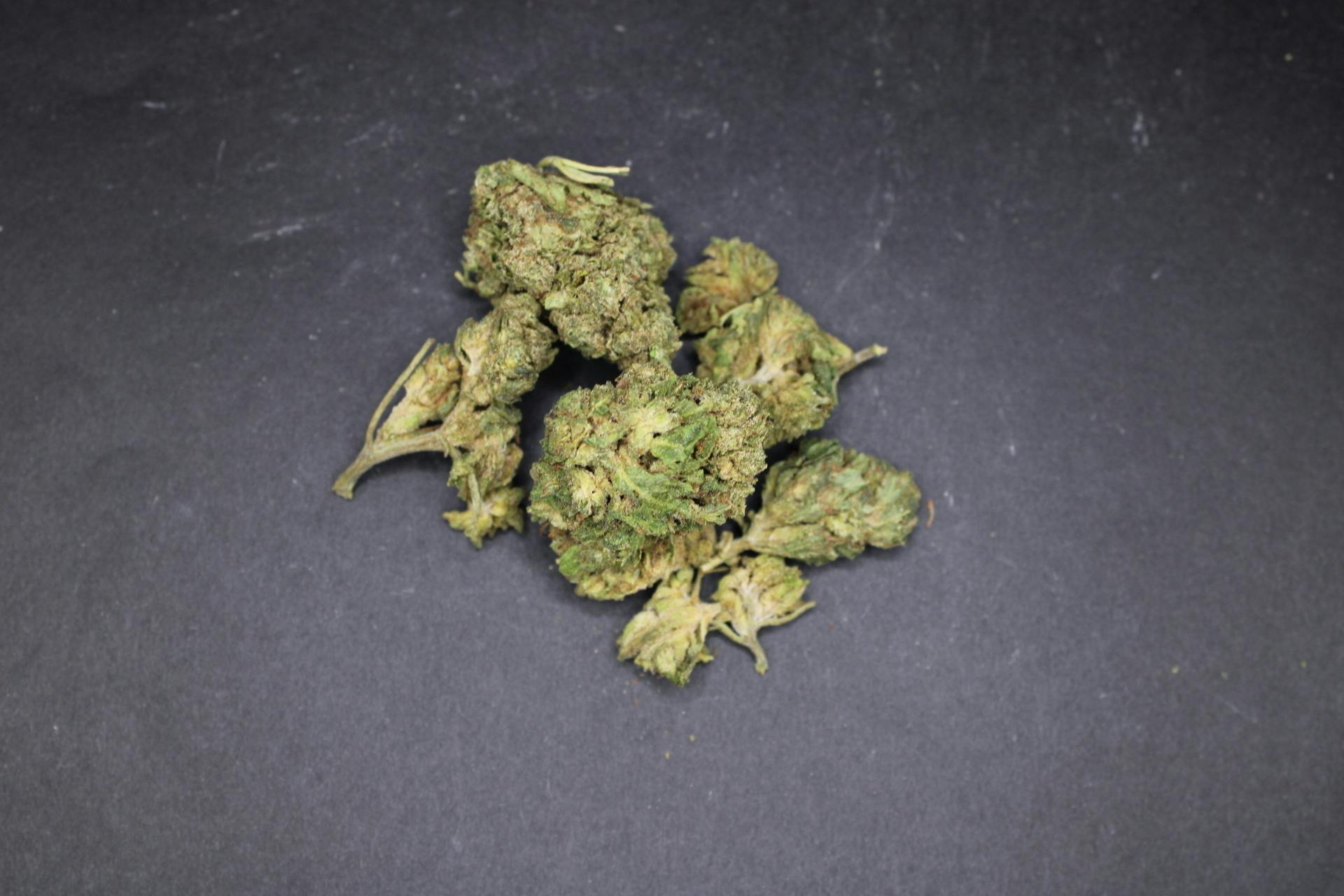 Blueberry Runtz | 28.3495g at Sociale Dispensary