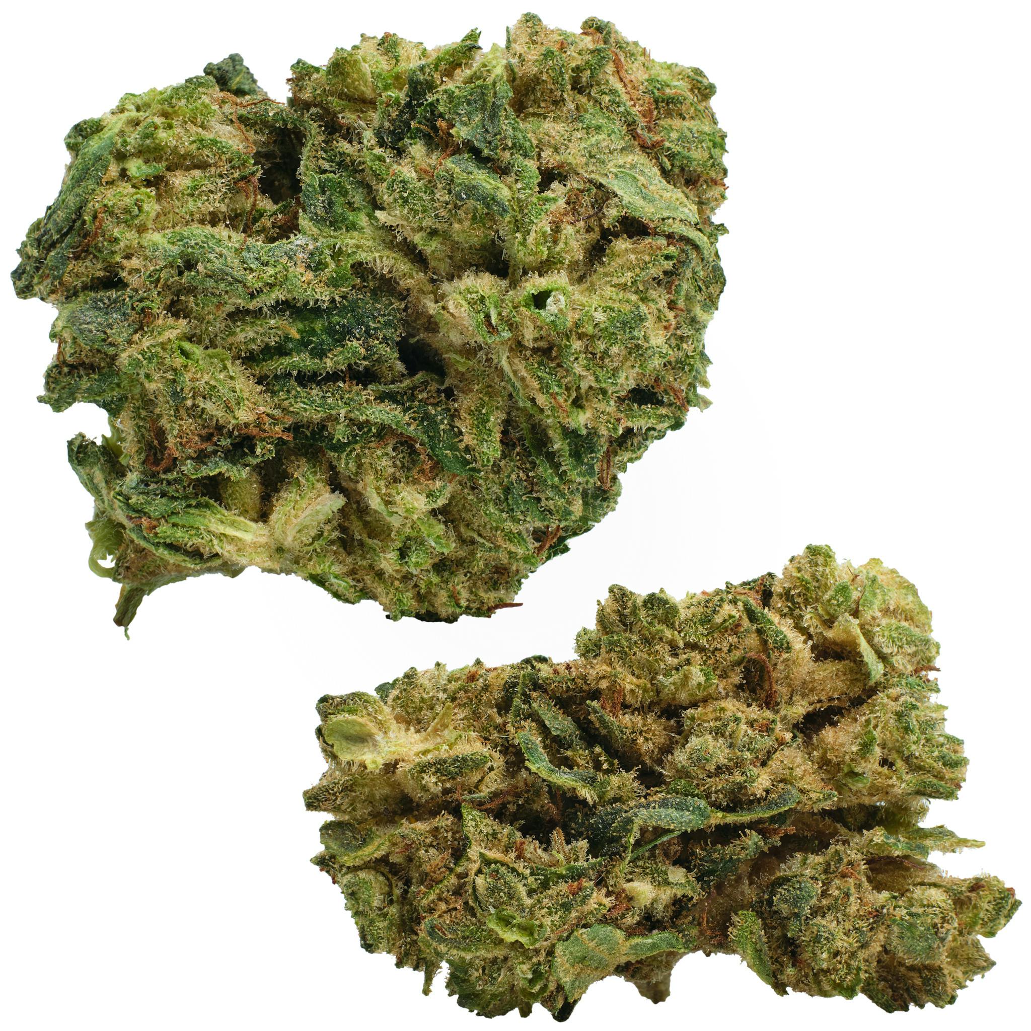 Dan's Gift | 3.5g at Pure Options - Traverse City