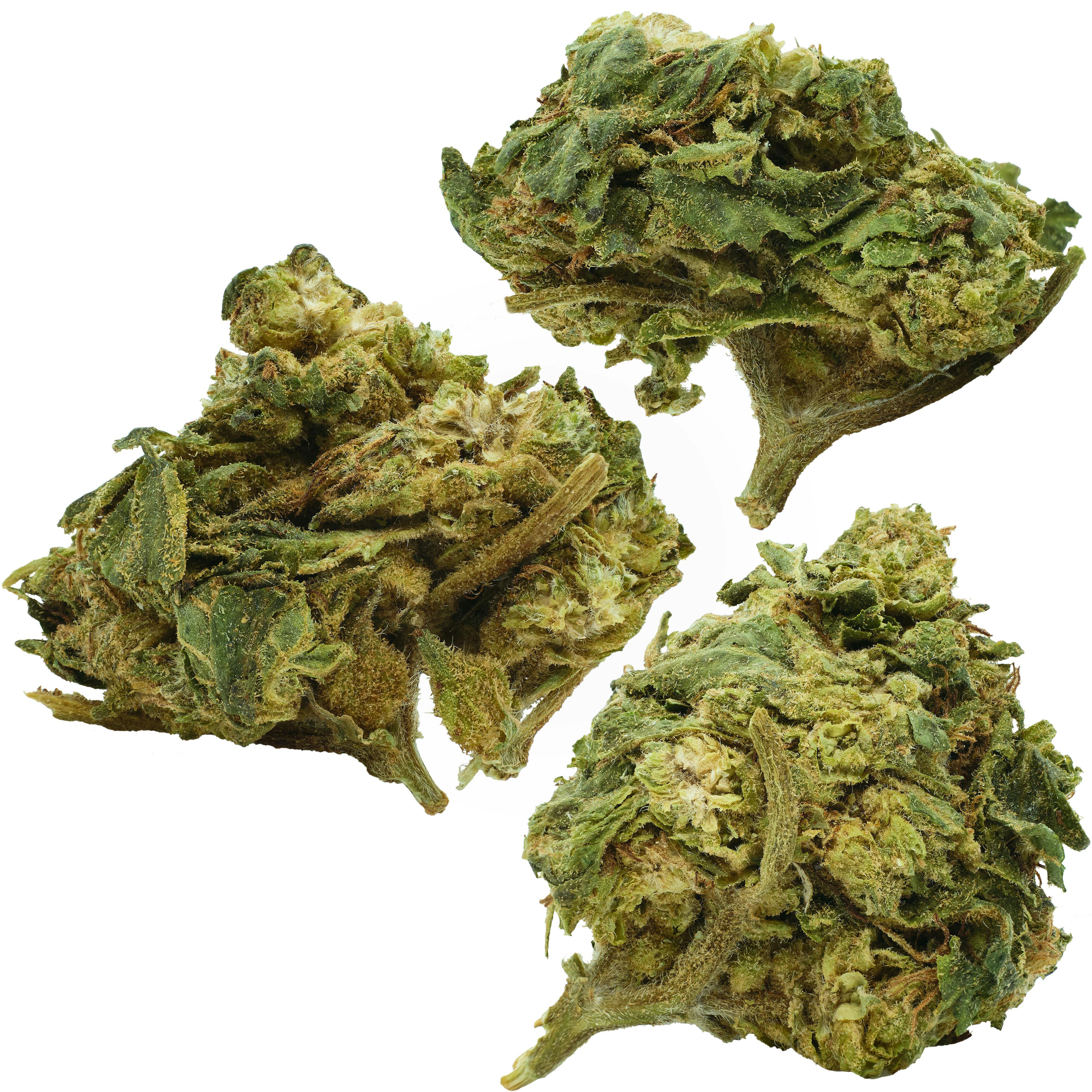 Grape Pie | 0.125oz at Sociale Dispensary
