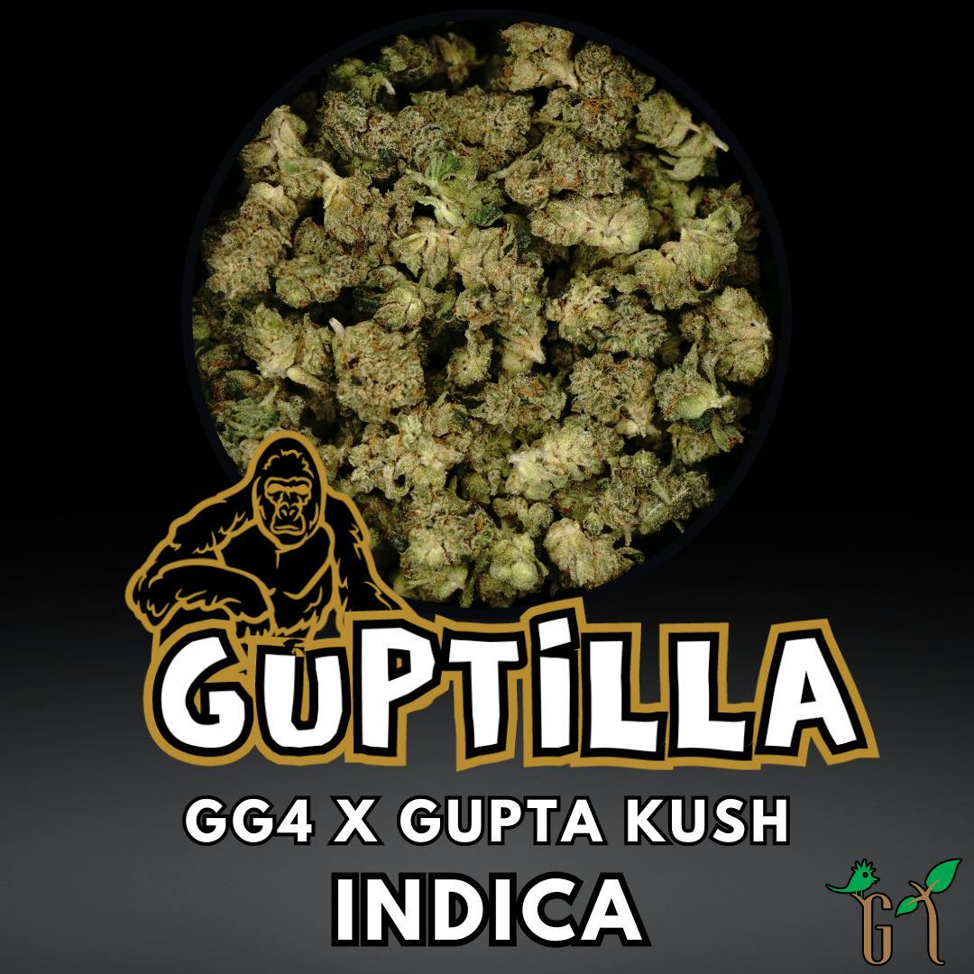 Guptilla | Smalls | 1g