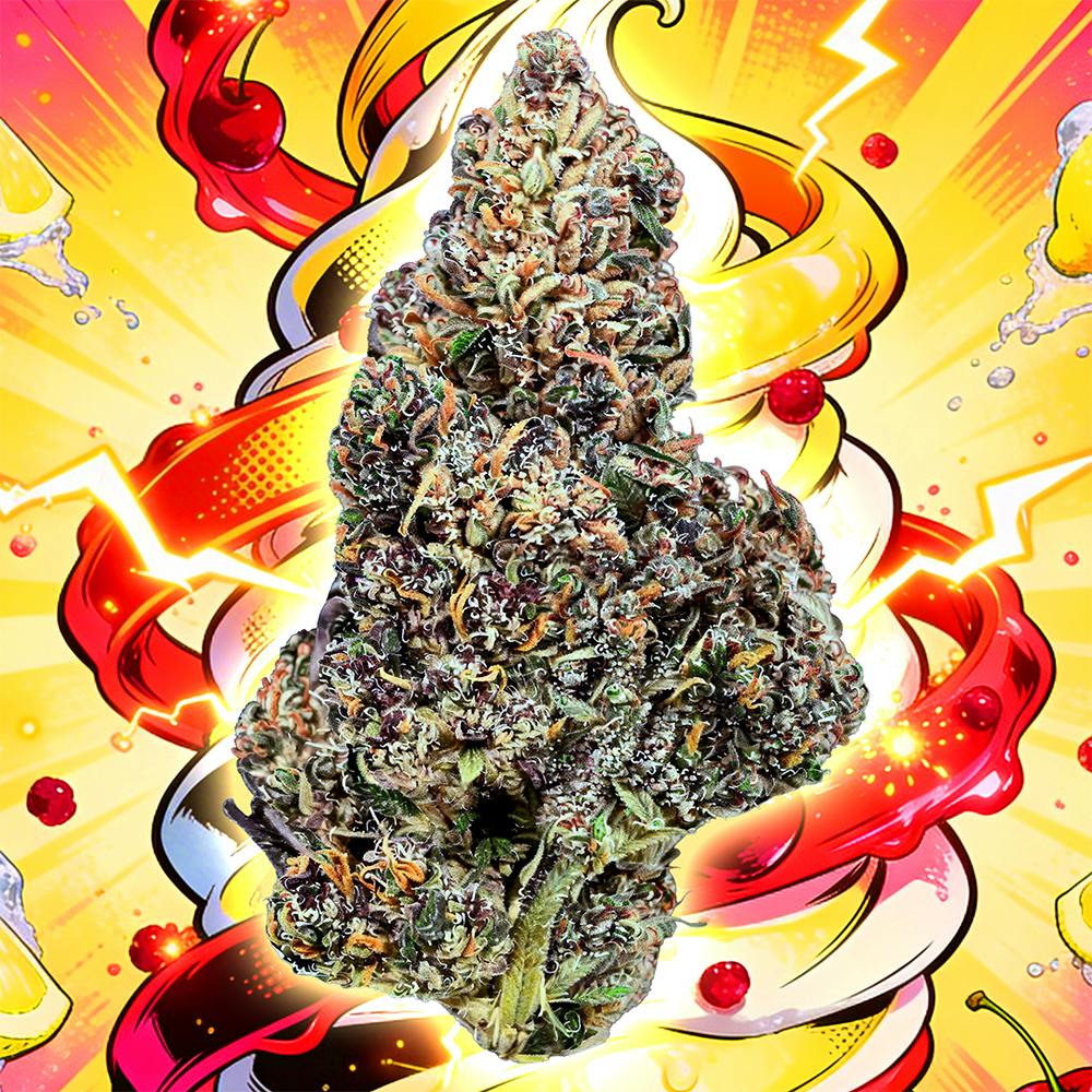 Lemon Cherry Gelato | 3.5g