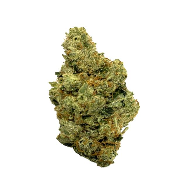 UP NORTH OG | 3.5g