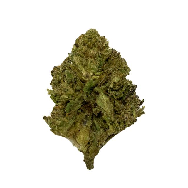 Bloc Berry | 28g