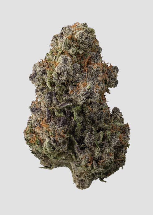 Maple Nectar | 1g