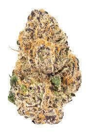 Jokerz | Big Buds | 1g