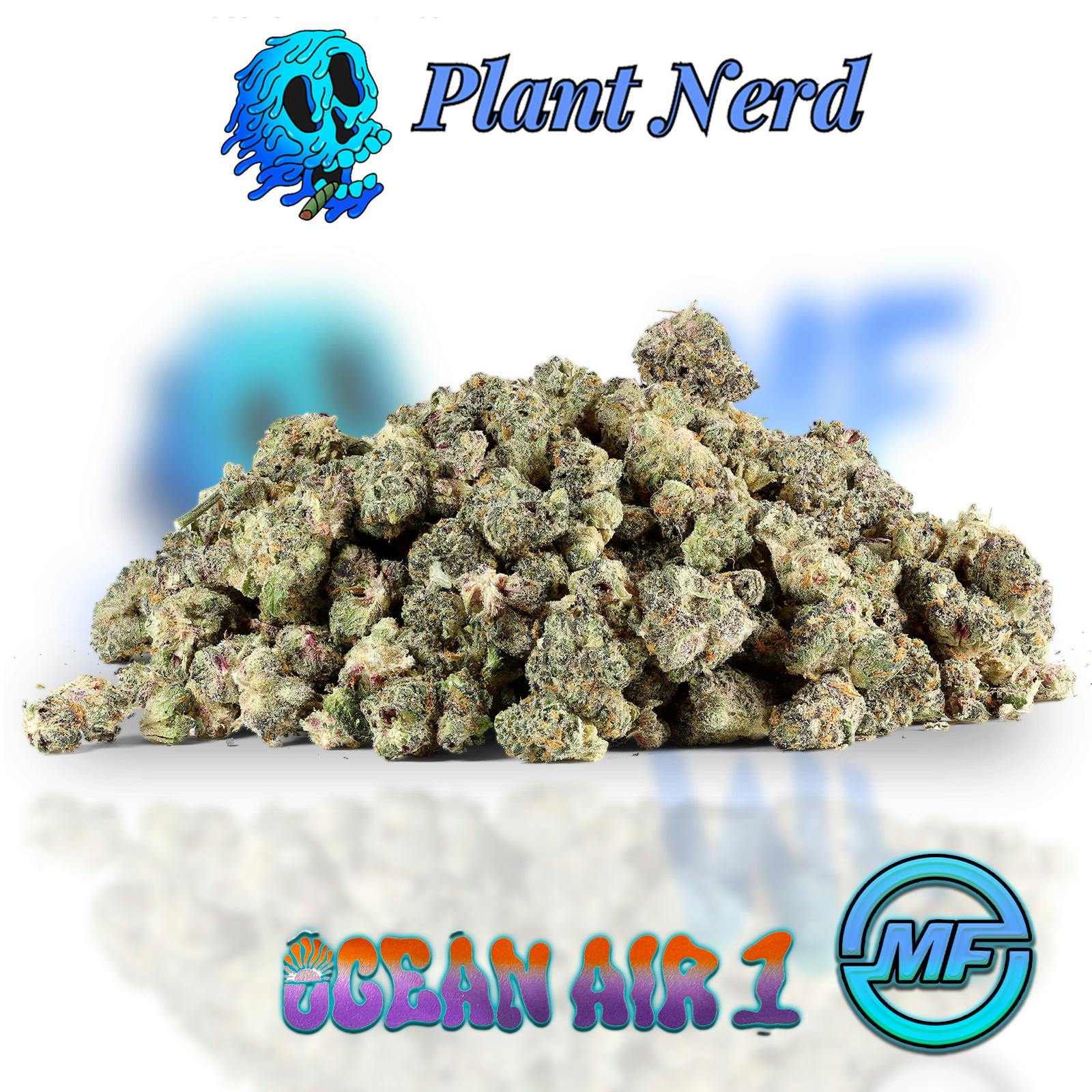 Ocean Air #1 | Smalls | 28g