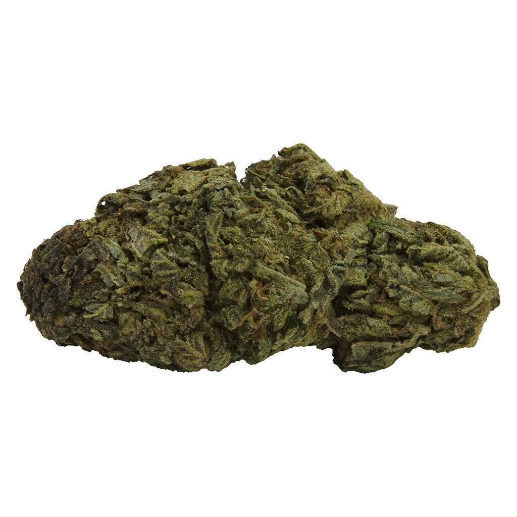 Larry the Purple Alien | 14g