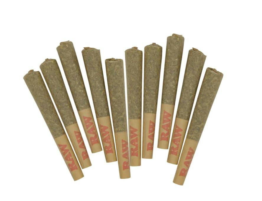 Purple Gas | Minis | 0.5g | 10pk
