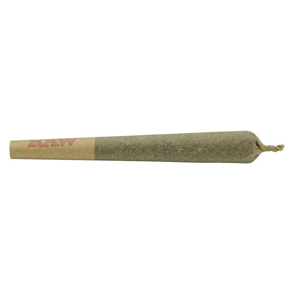 Blueberry Muffin | Minis | 0.5g | 10pk