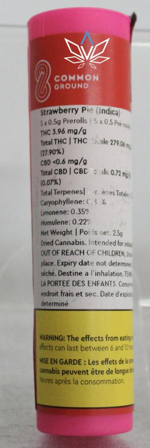 Strawberry Pie | Joints | 0.5g | 5pk