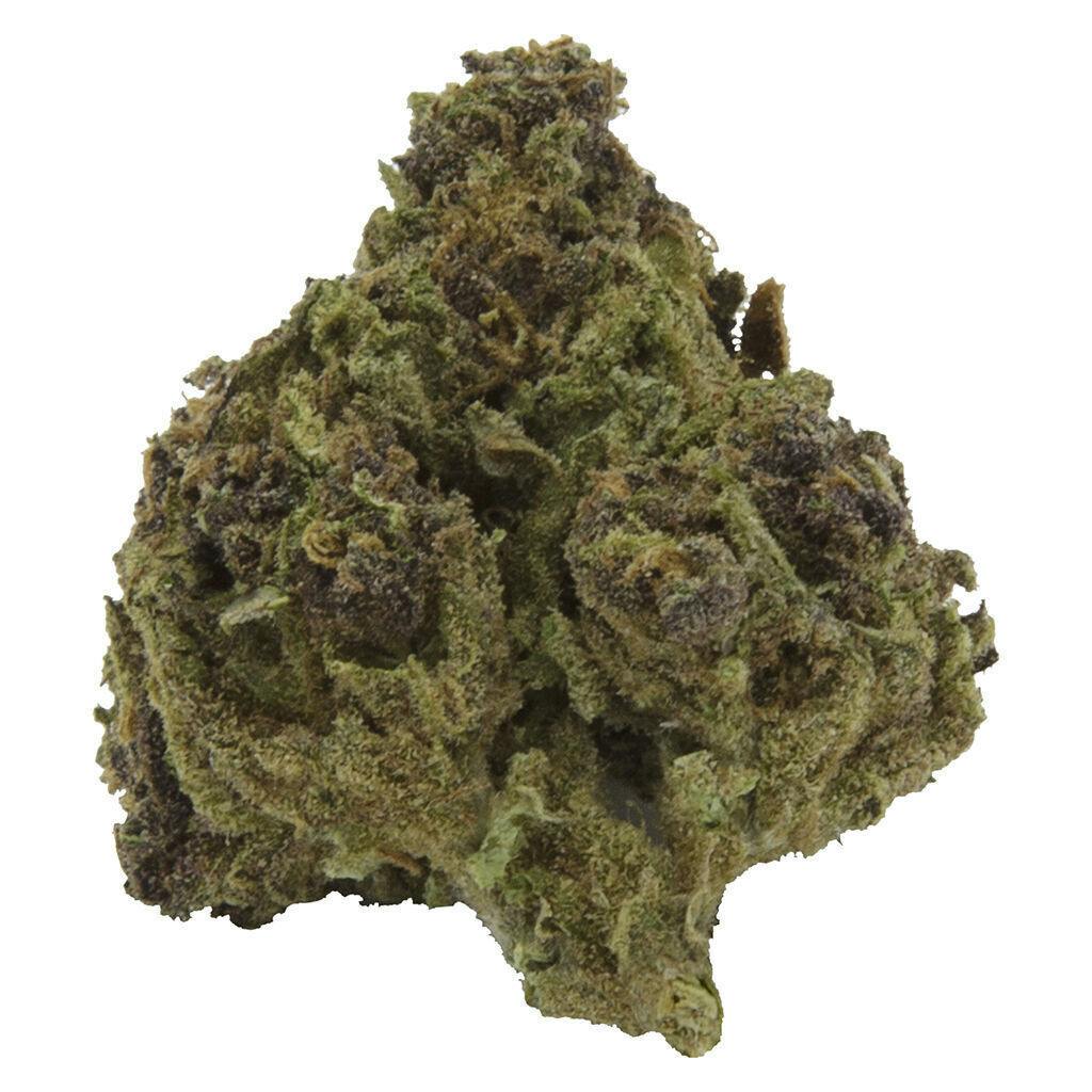 Blueberry Muffin | Big Buds | 14g