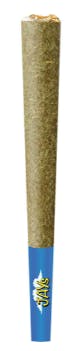 Macchiato Gold | Infused Minis | 0.5g | 3pk