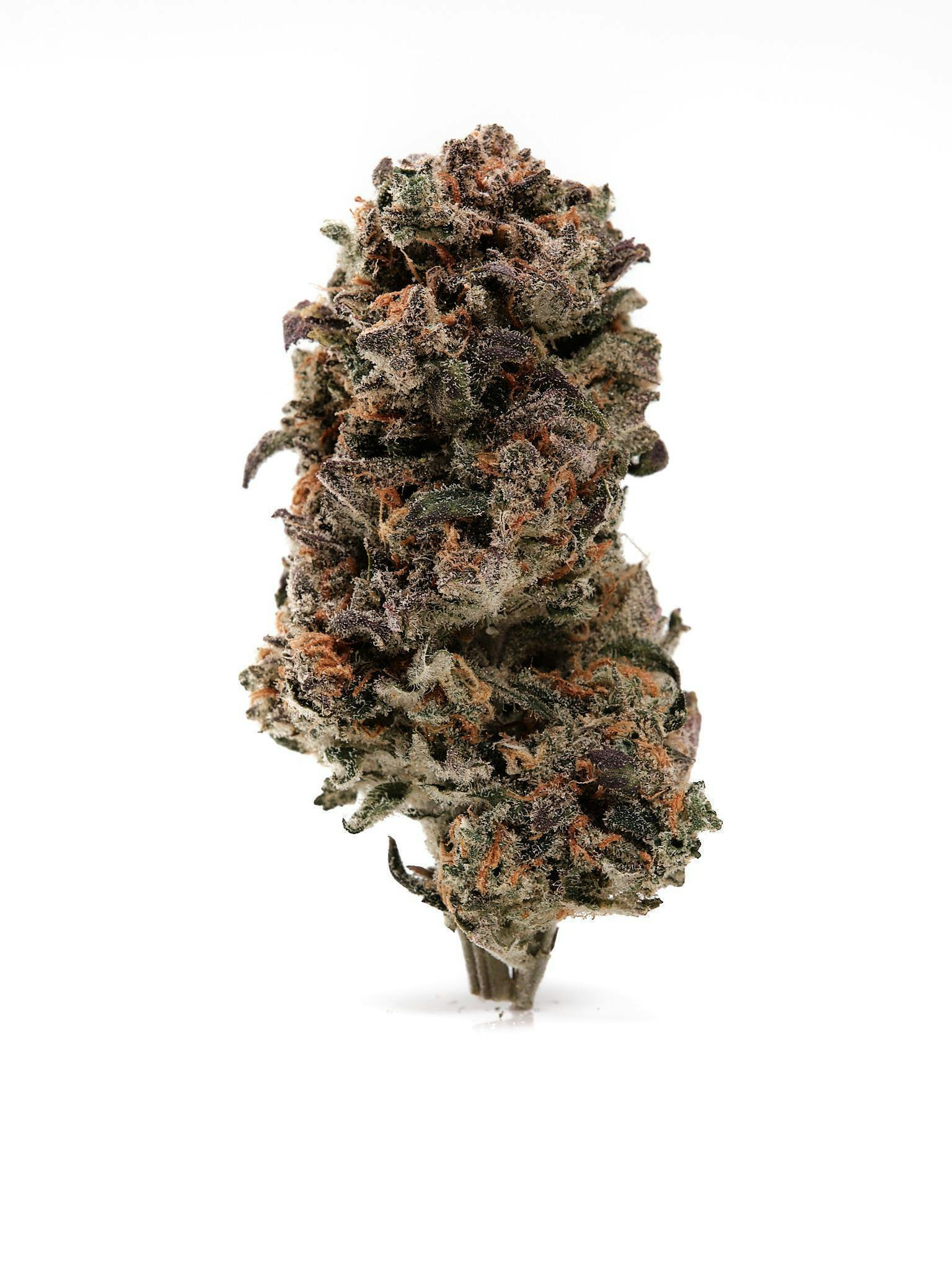 Candy Apple | 14g
