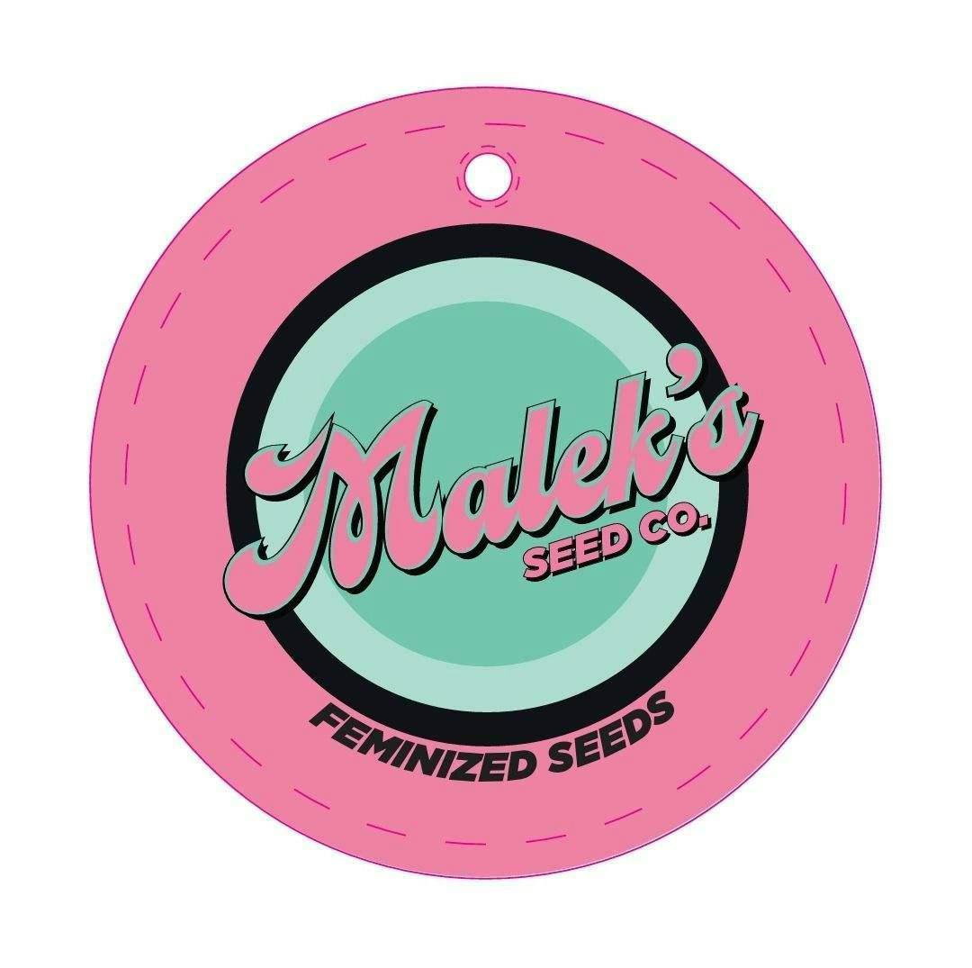 Toxic Hulk 3pk Seeds | Seeds