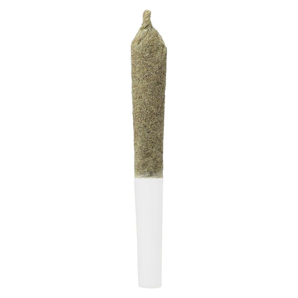 Cherry Temple | Infused Minis | 0.5g