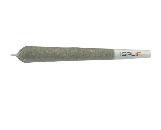 Hawaiian Snowcone x Golden Pineapple | Joints | 1g | 2pk