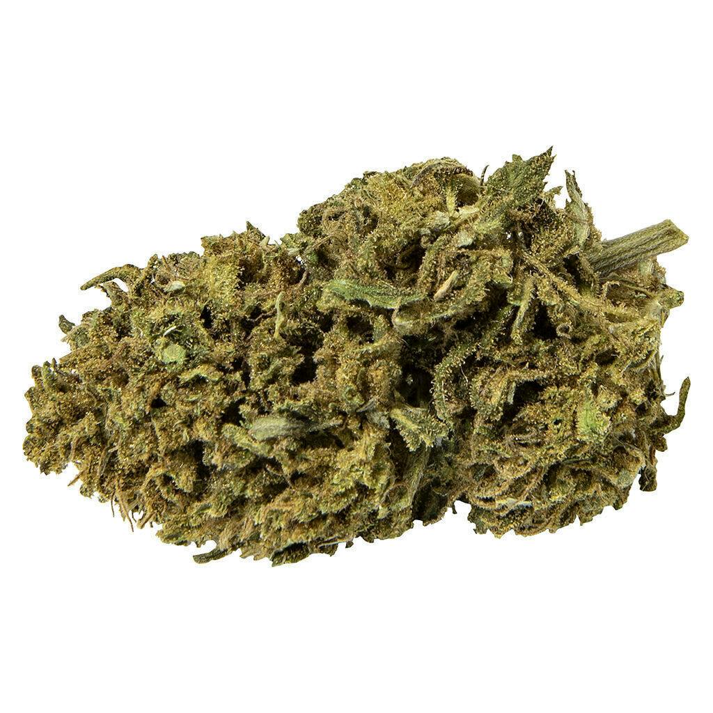 Blueberry Bliss | 3.5g