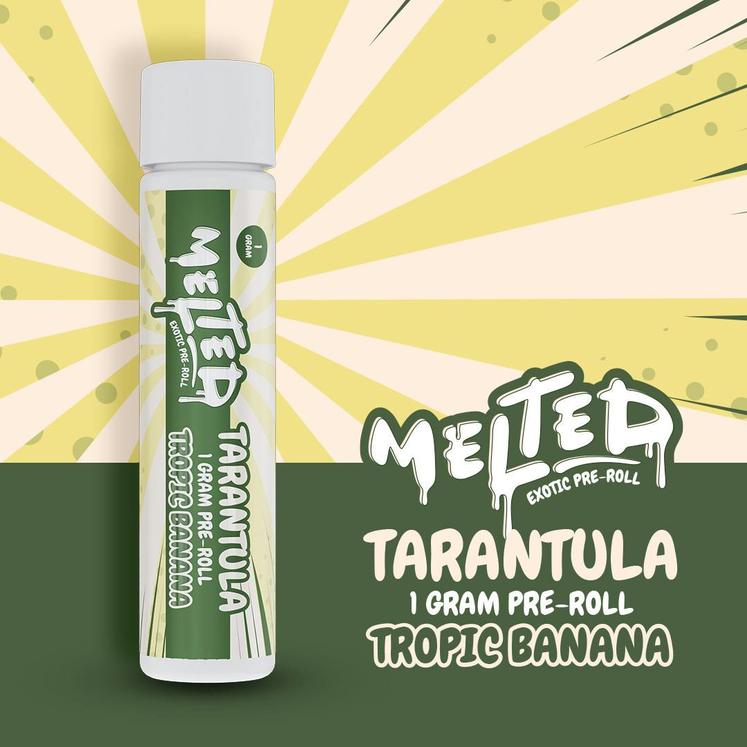 Tropic Banana | Infused Joint | 1g by Melted